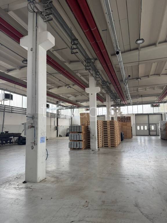 immagine annuncio 8 di 12