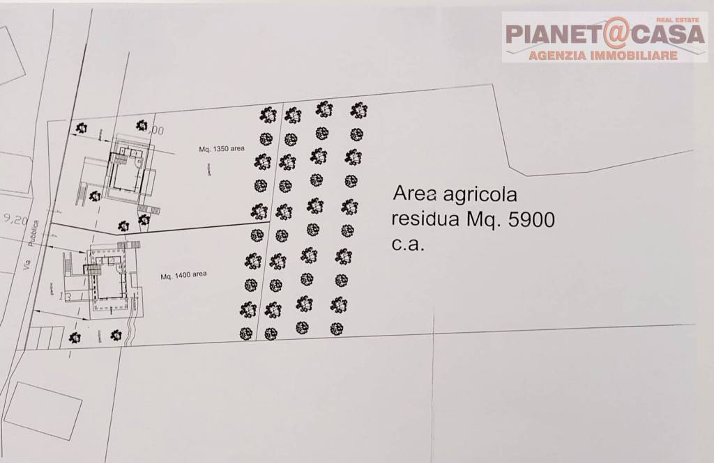 immagine annuncio 6 di 9