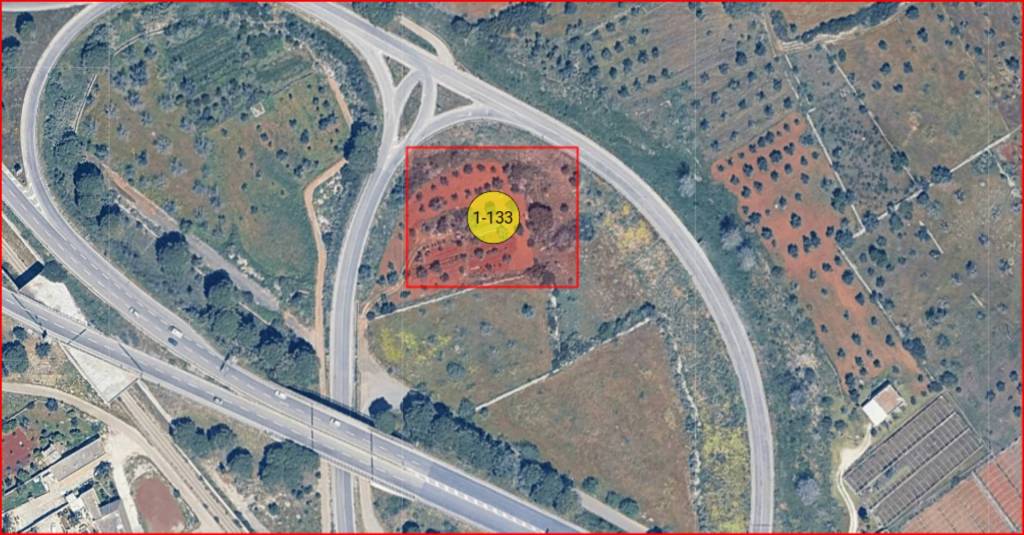 immagine annuncio 11 di 12