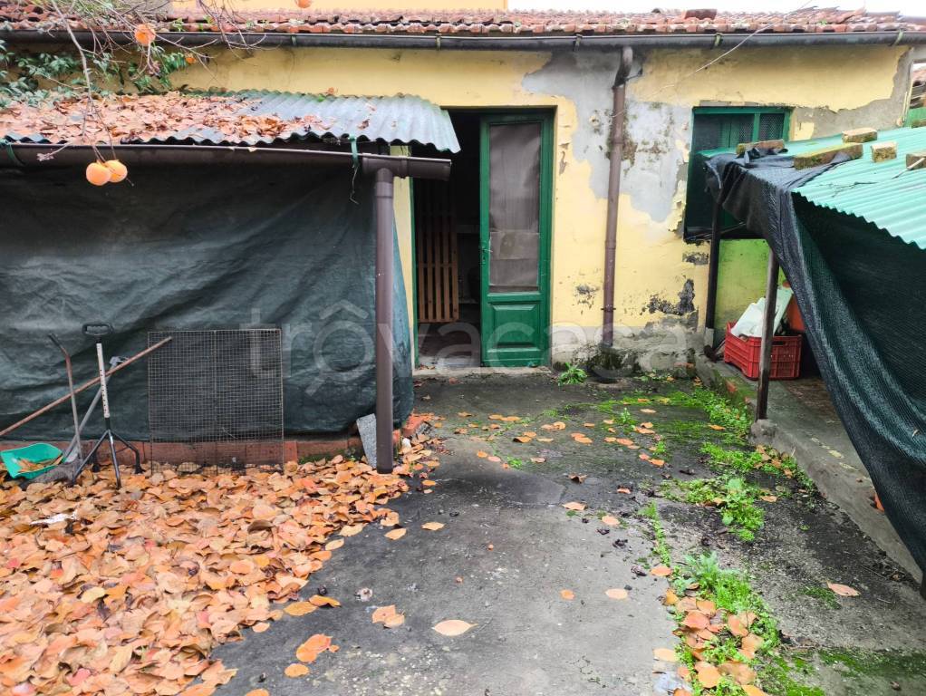 immagine annuncio 1 di 12