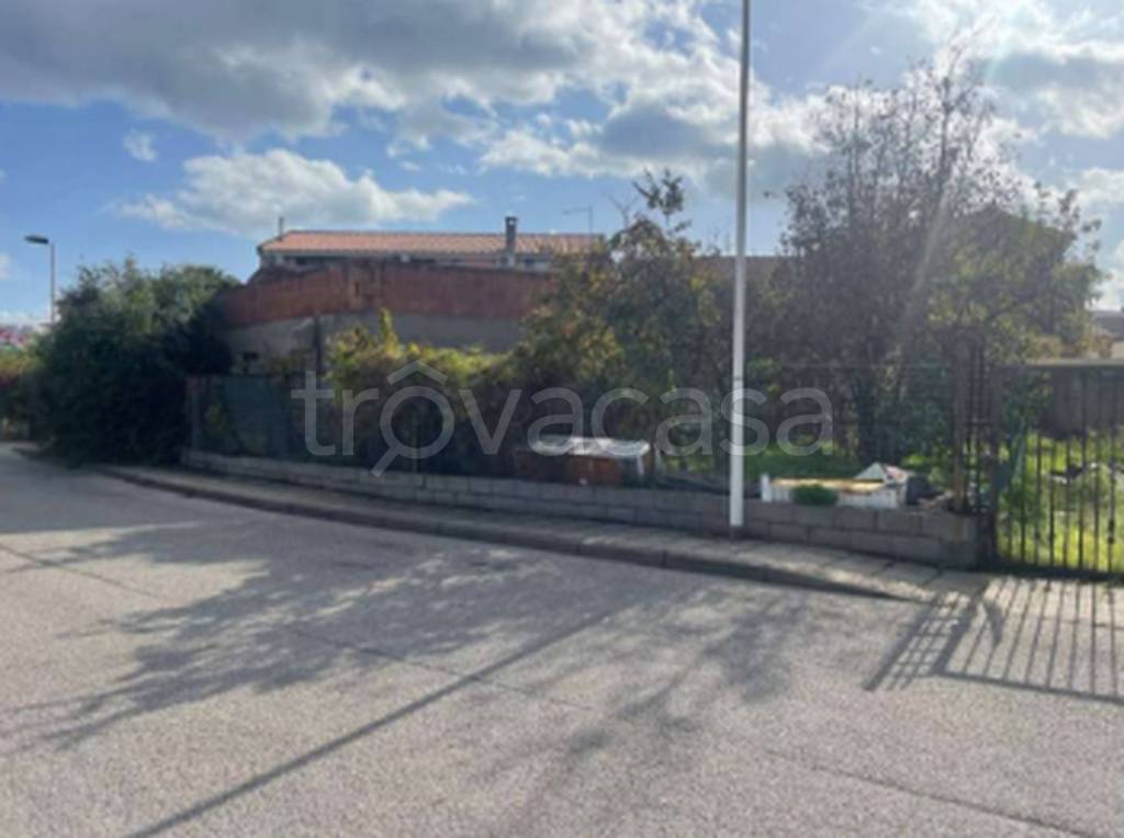 immagine annuncio 6 di 11