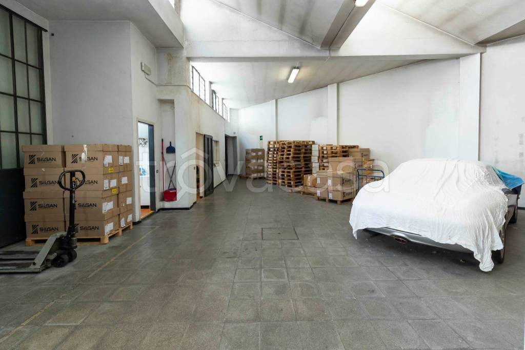 immagine annuncio 7 di 15