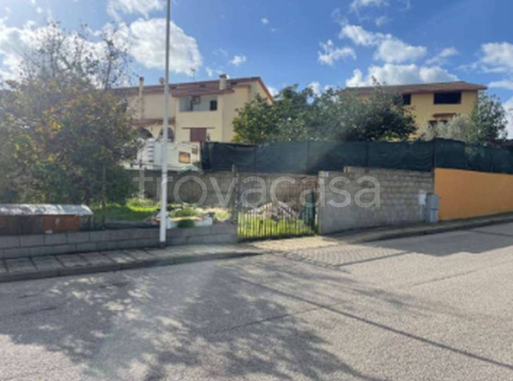 immagine annuncio 8 di 11