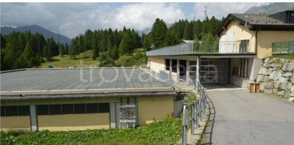 immagine annuncio 8 di 11