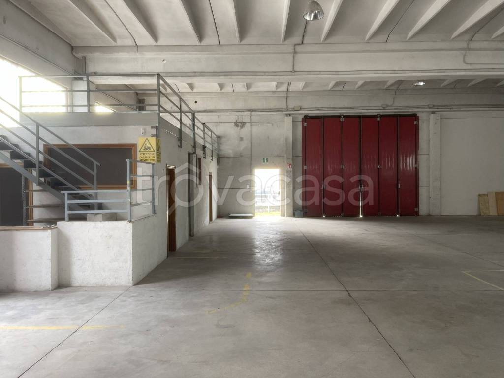 immagine annuncio 3 di 12