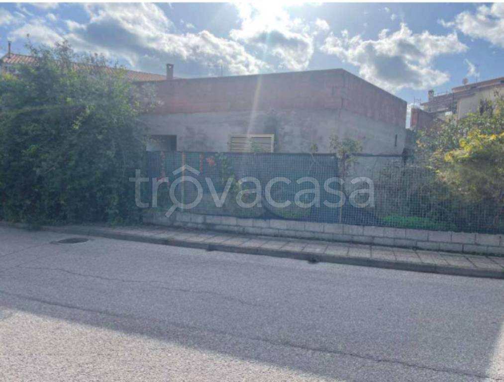 immagine annuncio 12 di 14