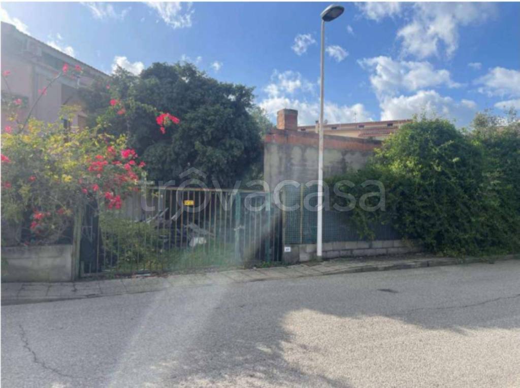 immagine annuncio 13 di 14