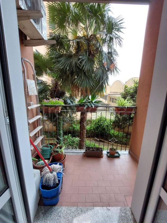 immagine annuncio 2 di 7