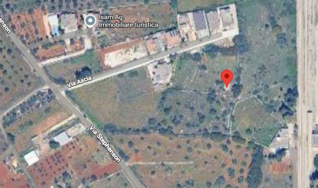 immagine annuncio 7 di 10