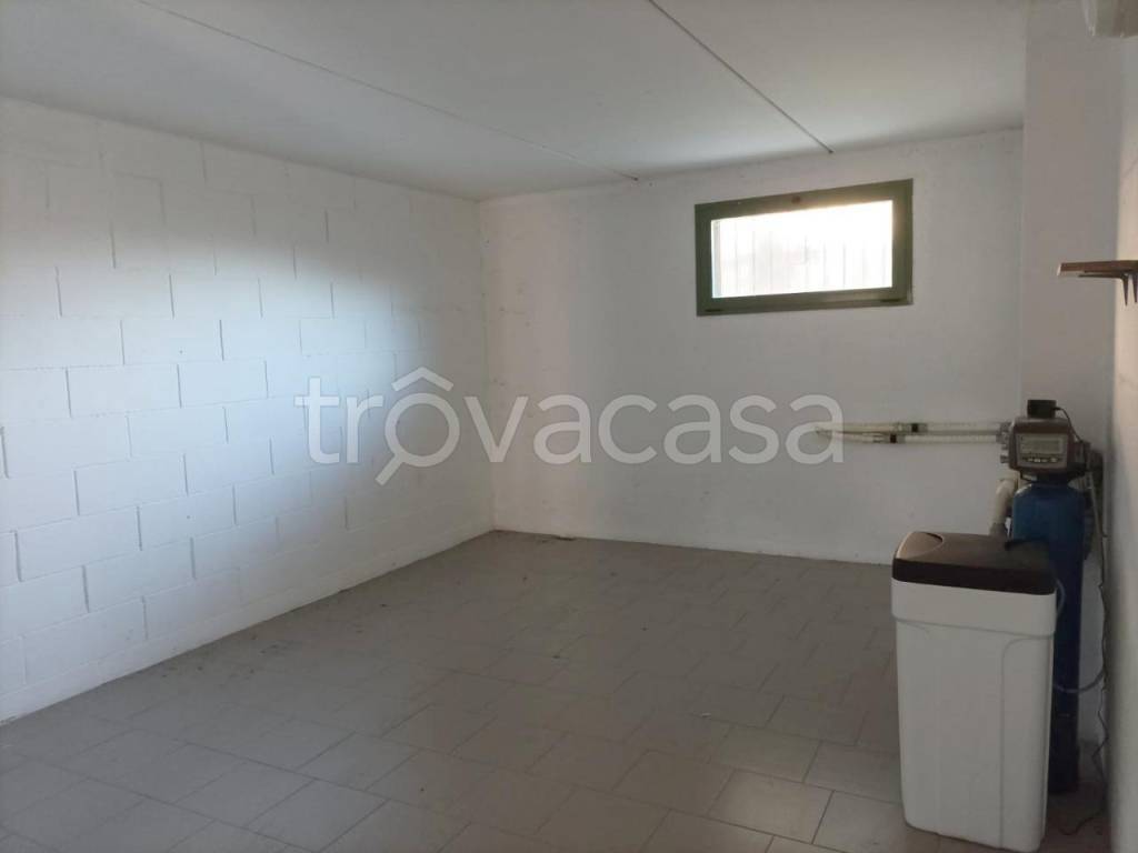 immagine annuncio 11 di 14