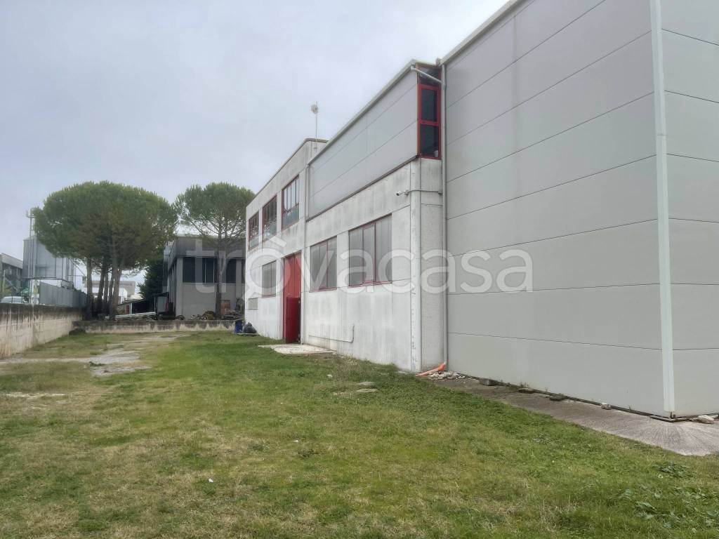 immagine annuncio 10 di 12