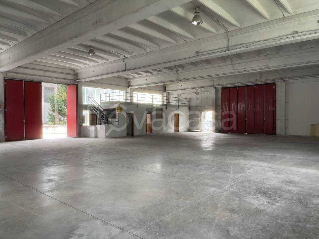 immagine annuncio 11 di 12