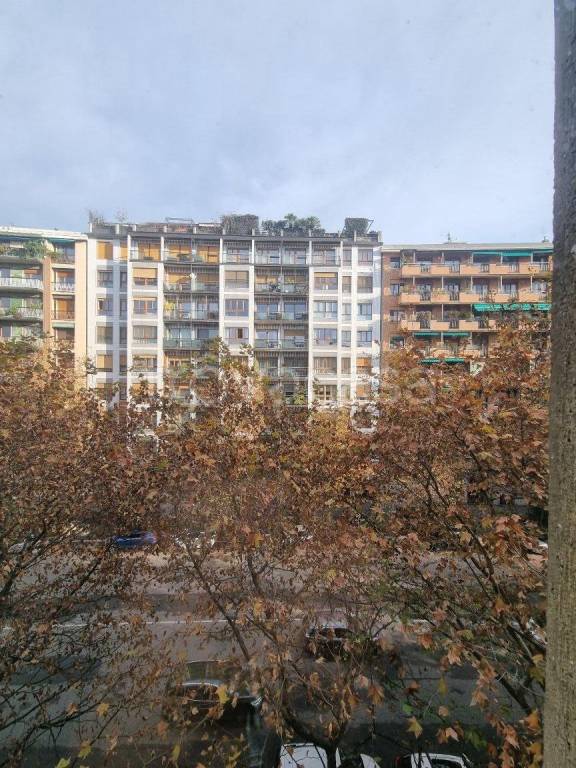 immagine annuncio 8 di 11