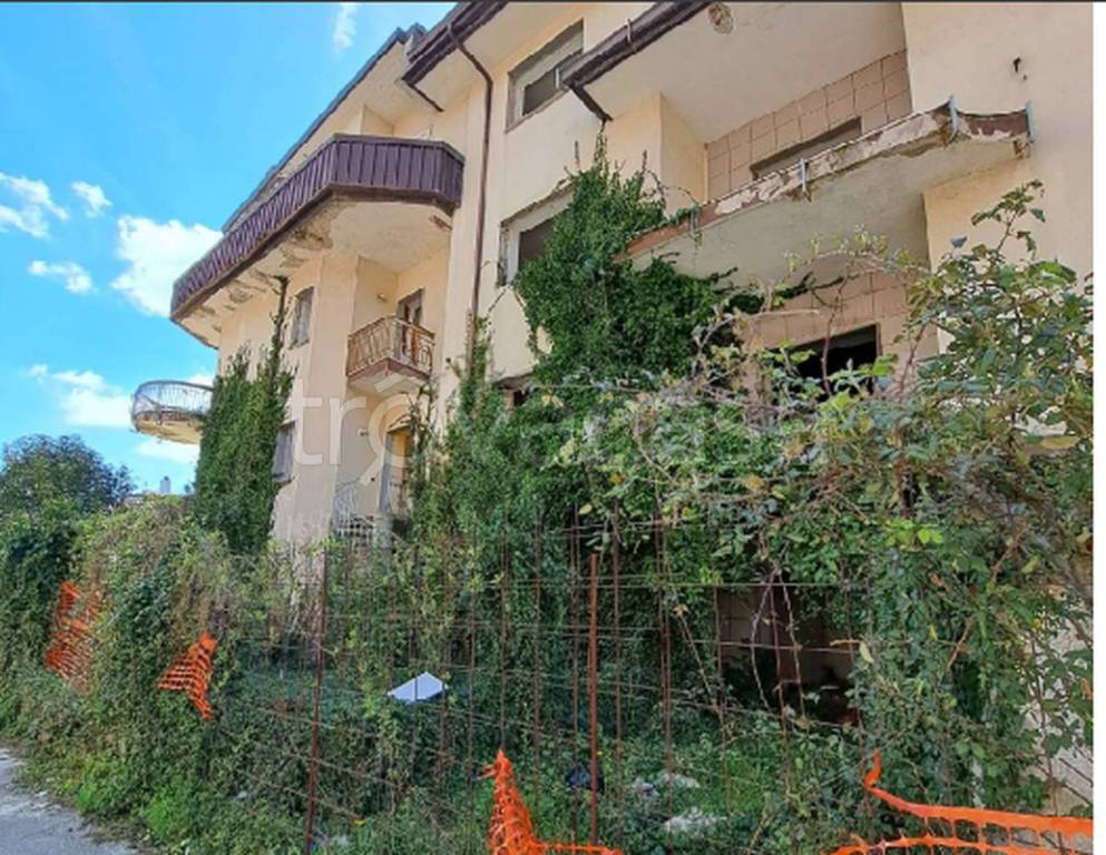 immagine annuncio 3 di 11