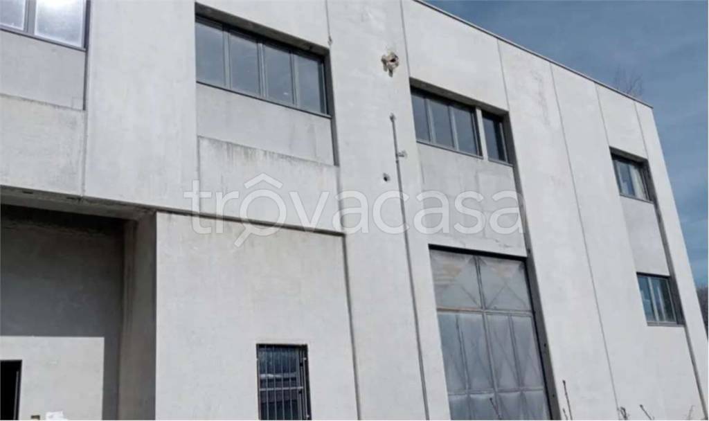 immagine annuncio 1 di 11