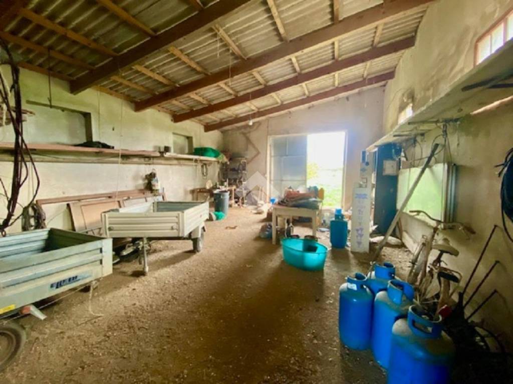 immagine annuncio 9 di 15