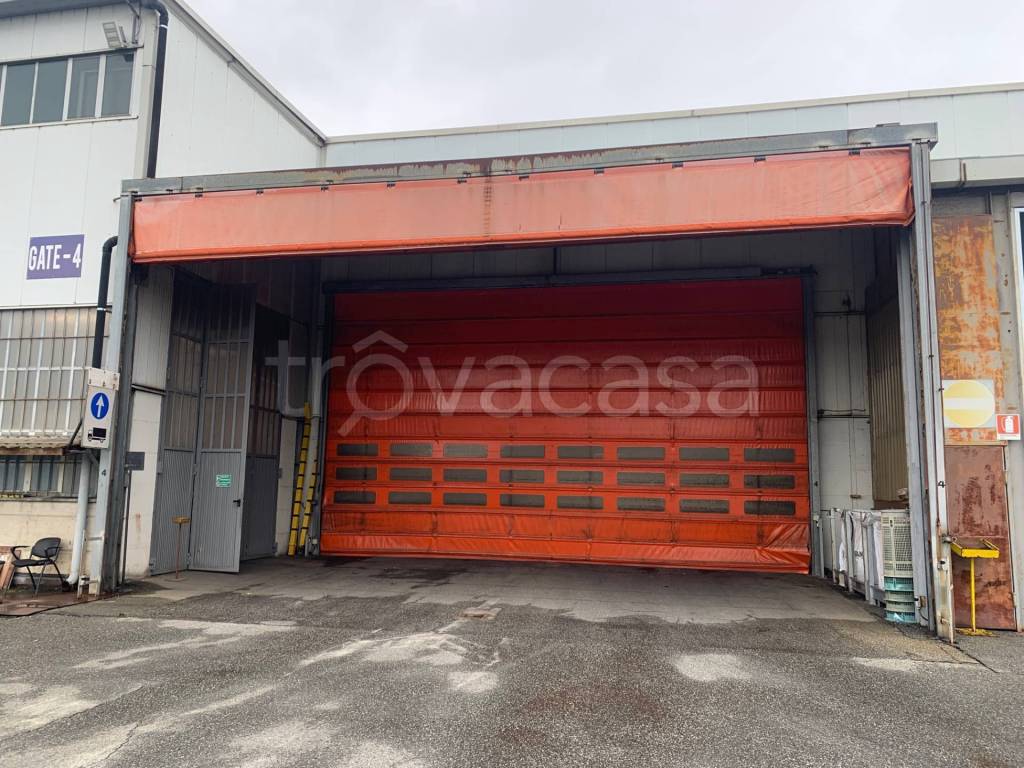 immagine annuncio 4 di 15