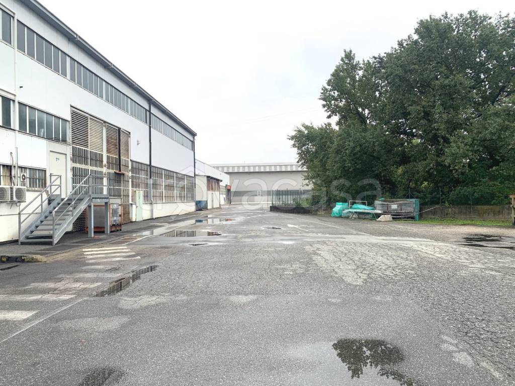 immagine annuncio 14 di 15