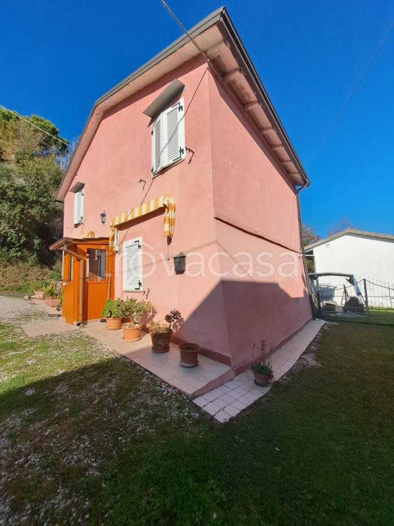 immagine annuncio 2 di 14