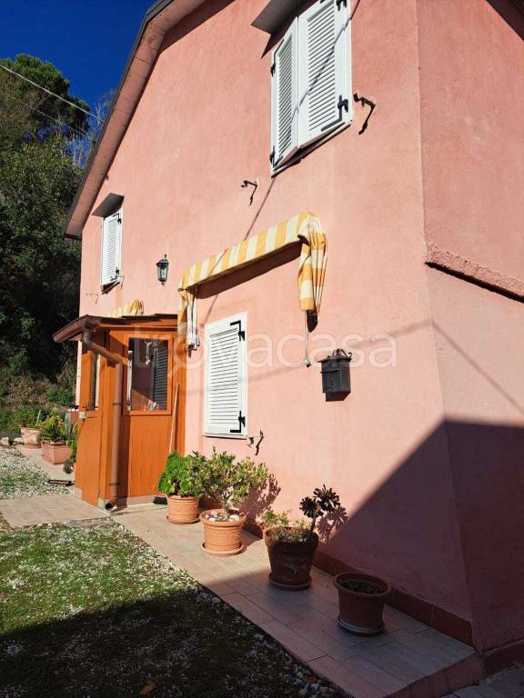 immagine annuncio 4 di 14