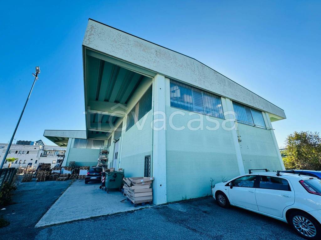 immagine annuncio 2 di 10