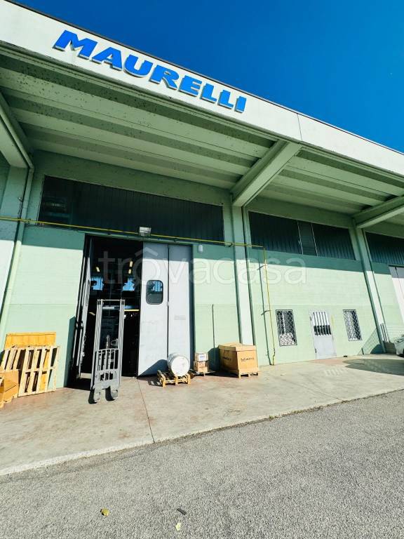 immagine annuncio 5 di 10