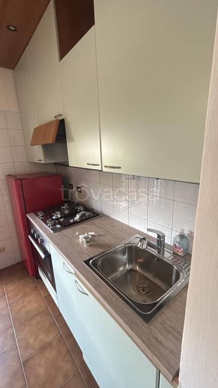 immagine annuncio 5 di 14