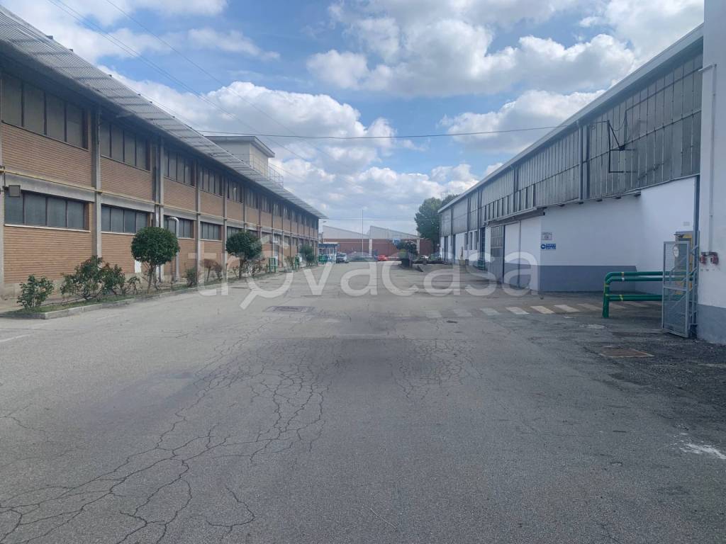 immagine annuncio 3 di 11