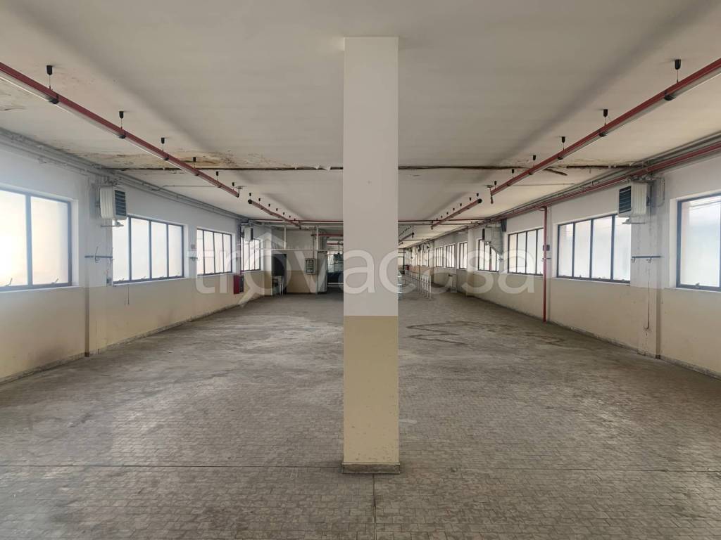 immagine annuncio 6 di 11