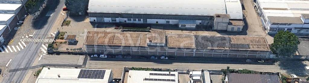 immagine annuncio 10 di 11