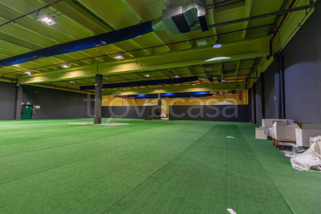 immagine annuncio 6 di 15