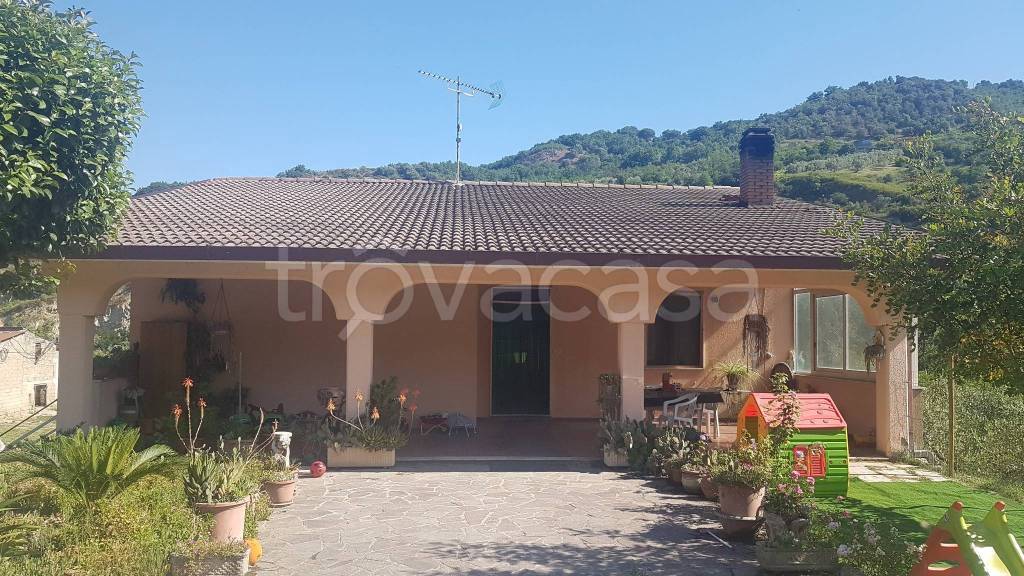 immagine annuncio 6 di 7