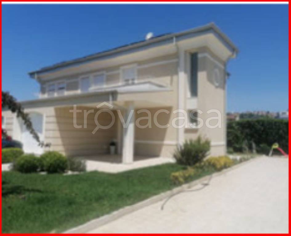 immagine annuncio 2 di 12