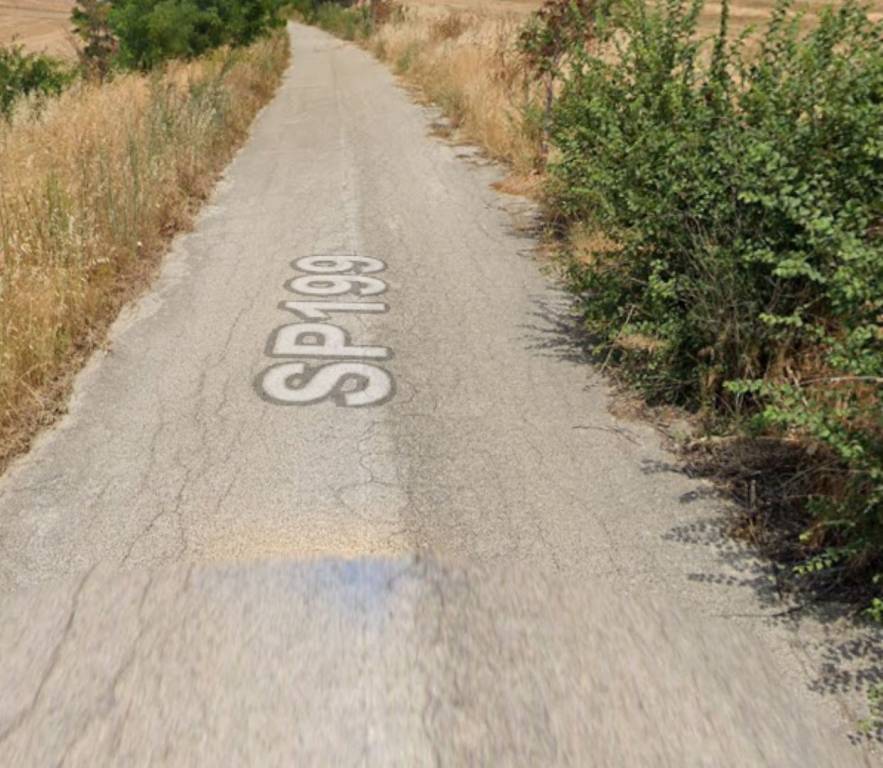 immagine annuncio 5 di 11