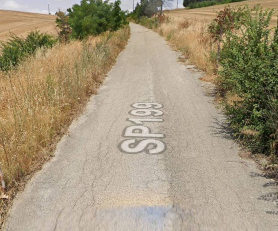 immagine annuncio 6 di 11