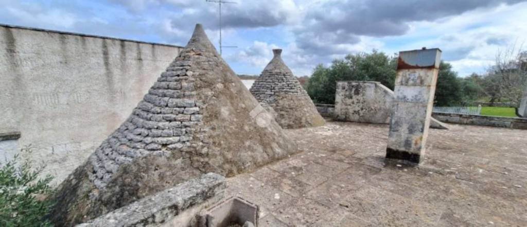 immagine annuncio 5 di 11