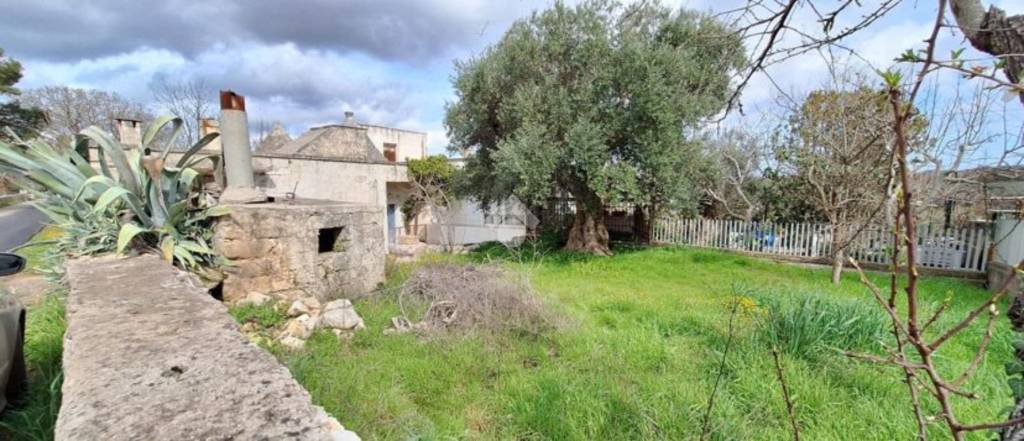 immagine annuncio 7 di 11