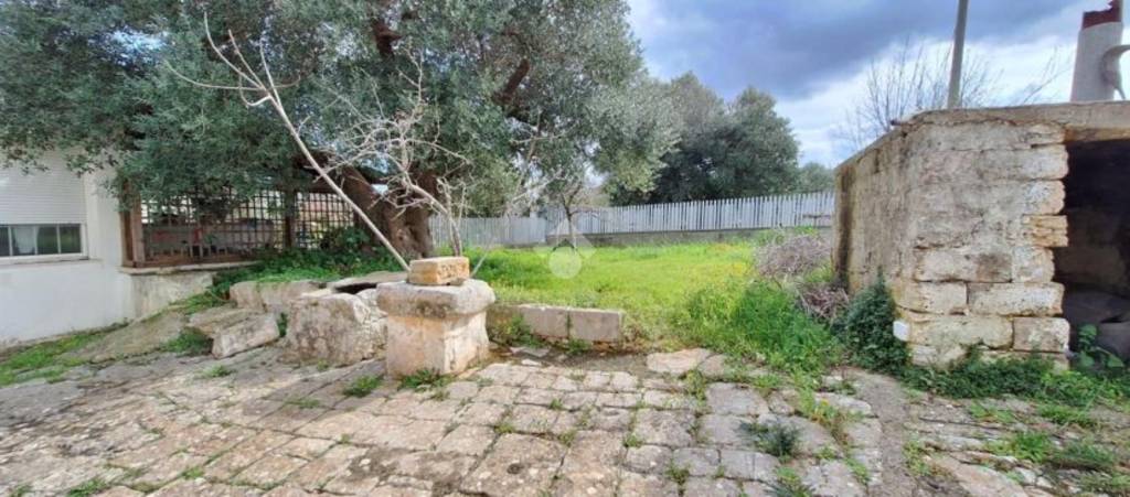 immagine annuncio 9 di 11