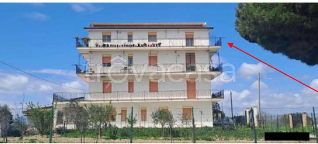 immagine annuncio 8 di 11