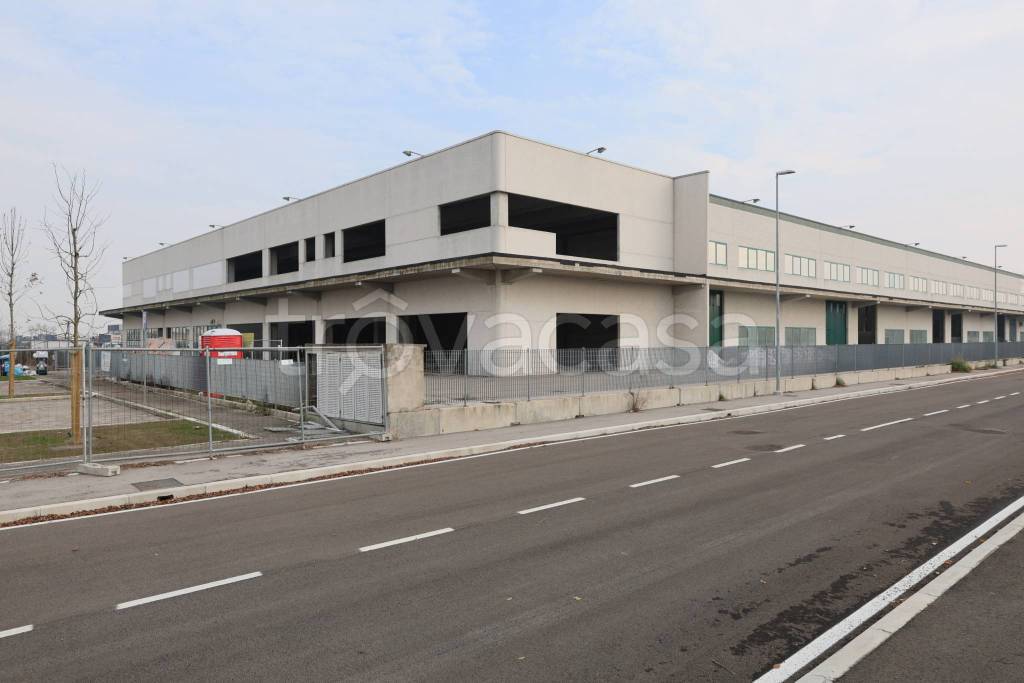 immagine annuncio 12 di 15