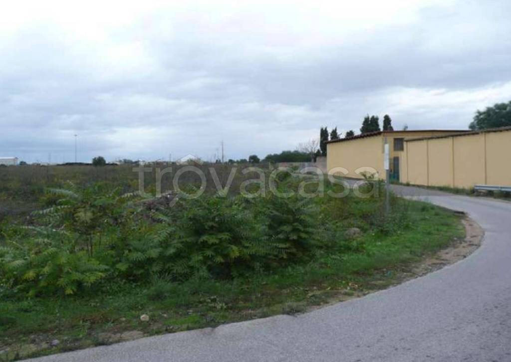 immagine annuncio 3 di 11