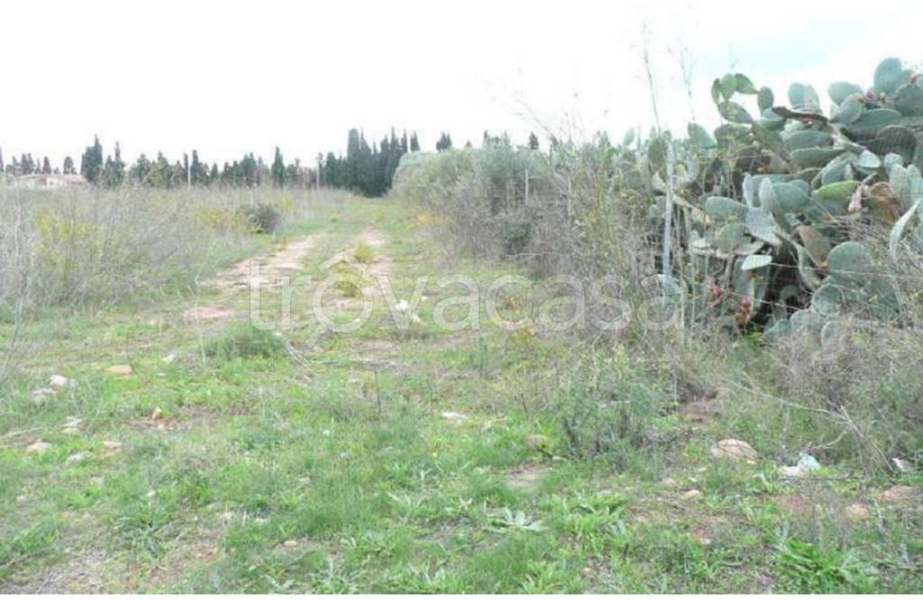 immagine annuncio 4 di 11