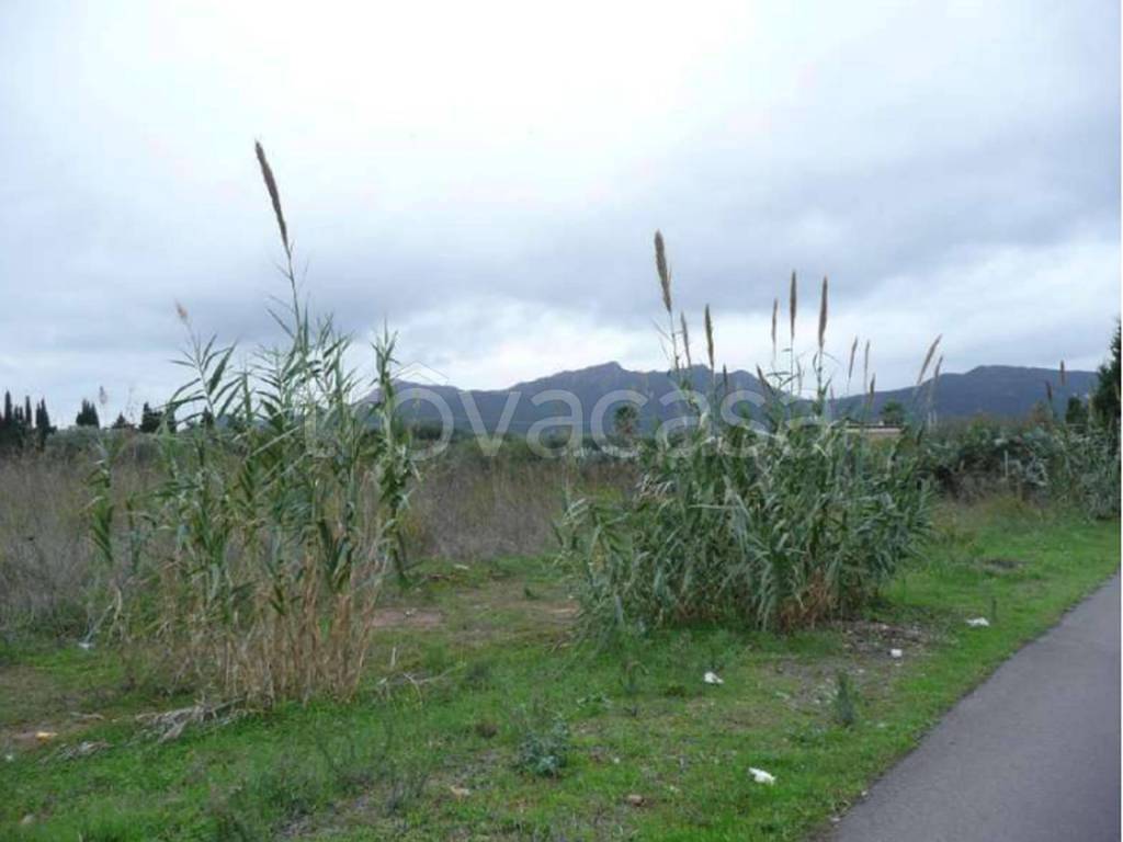 immagine annuncio 5 di 11