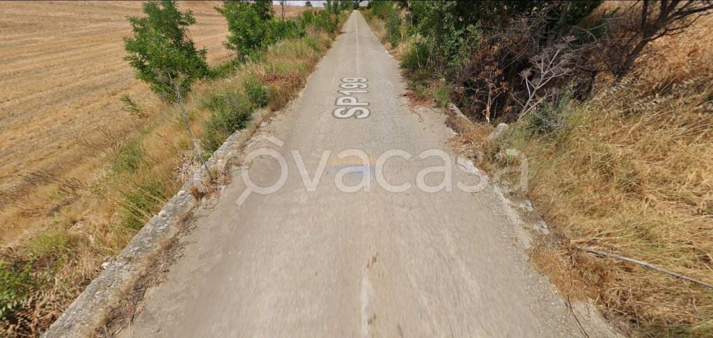 immagine annuncio 5 di 12