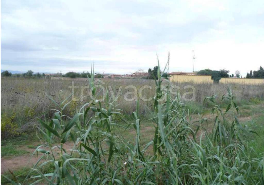 immagine annuncio 6 di 11