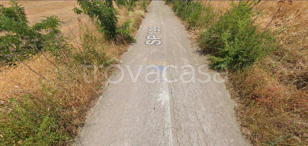 immagine annuncio 7 di 12