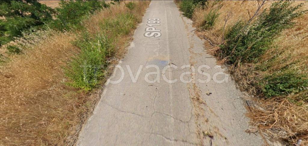 immagine annuncio 9 di 12