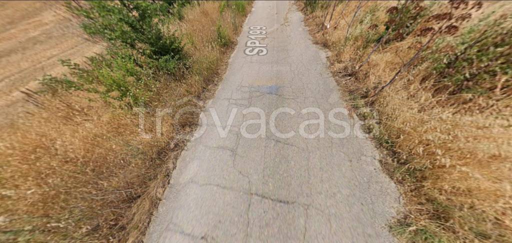 immagine annuncio 10 di 12