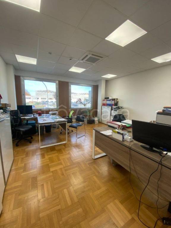 immagine annuncio 6 di 14