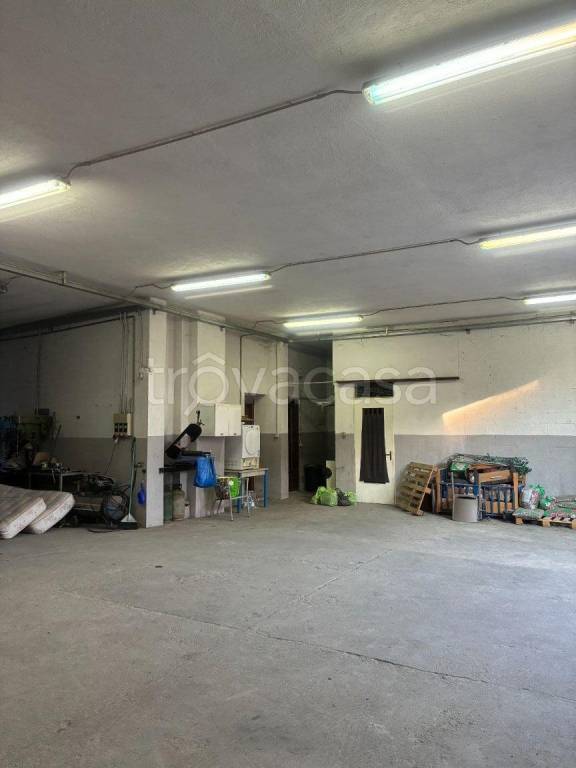 immagine annuncio 3 di 12